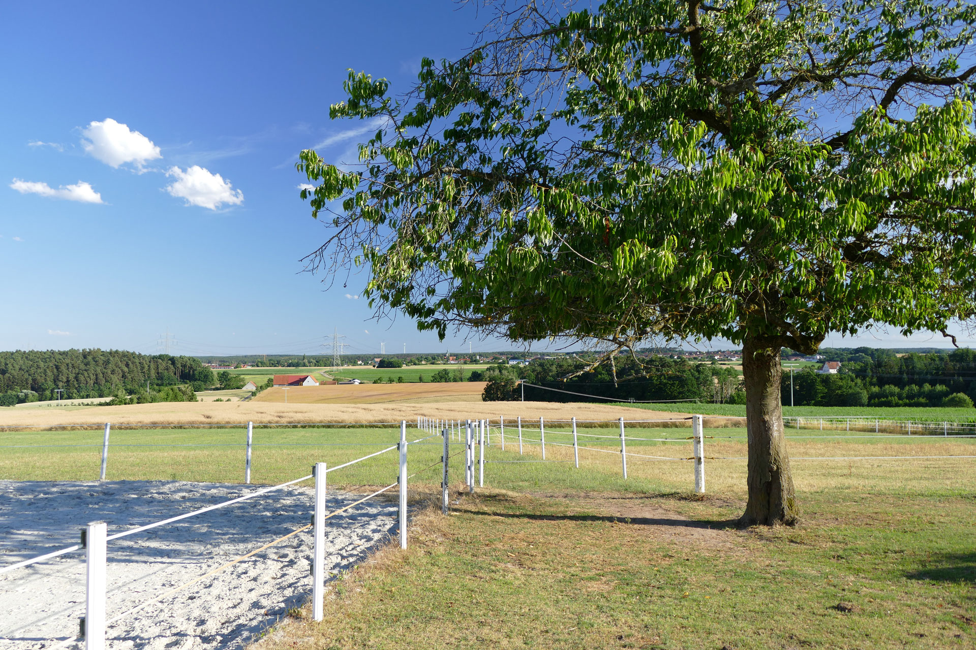 Reitplatz mit Koppeln im Hintergrund