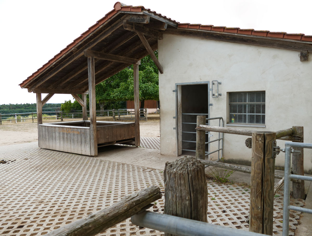 Futterplatz und Einzelbox mit Paddock