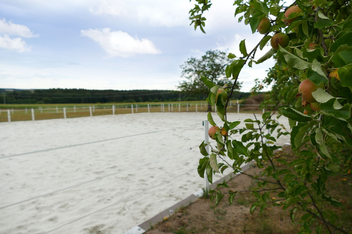 Großer umzäunter Reitplatz angelegt mit Nordsand