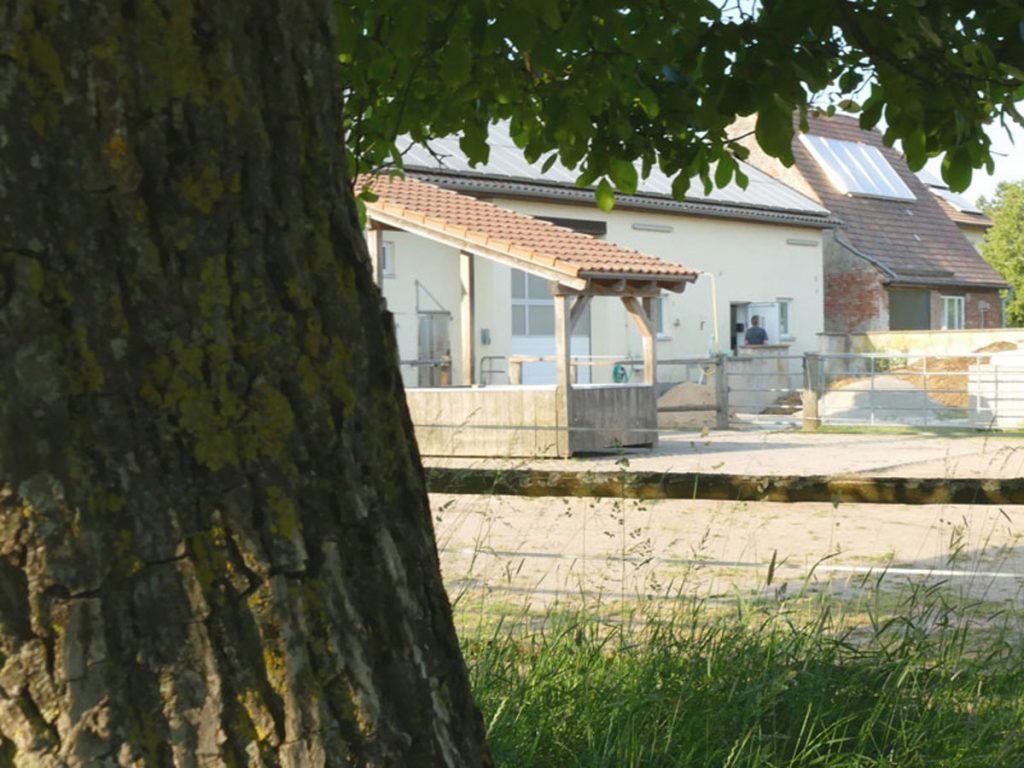 Ansicht Stall hinten mit Baum